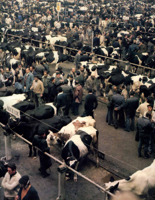 Cualquier tiempo pasado…La Cuadrona a revientacalderas