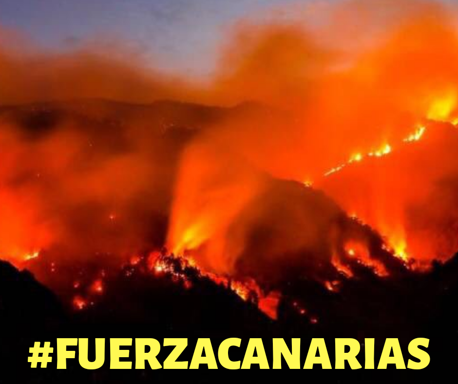 #FUERZACANARIAS : en Santander sabemos lo que es renacer del fuego